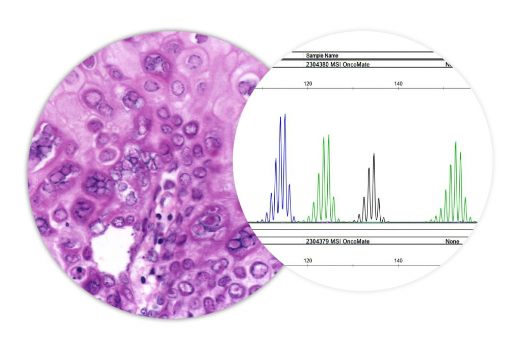 Histologie Molekularpathologie